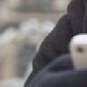 Obraz do artykułu Plus: konfiguracja WAP w telefonie